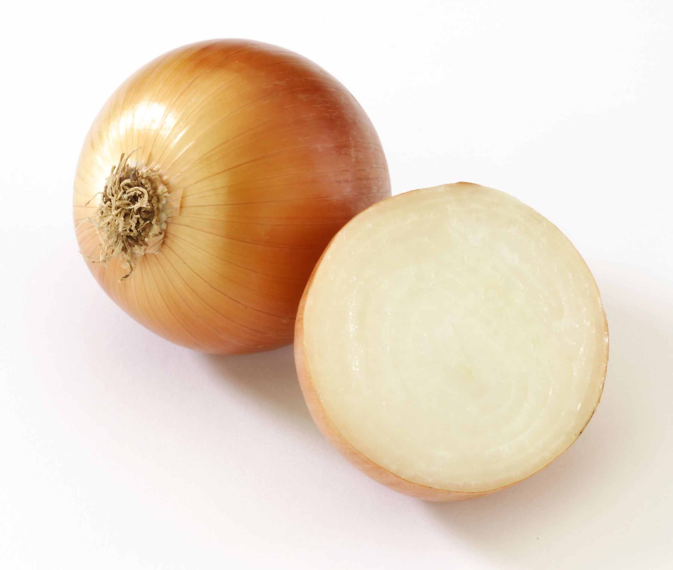 Cebolla