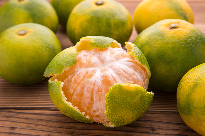 Mandarina sin semilla Oferta!