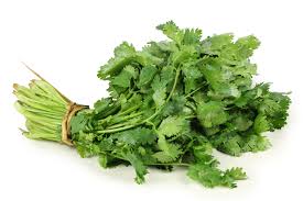 Cilantro