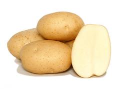 Papa blanca 