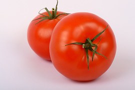 Tomate redondo